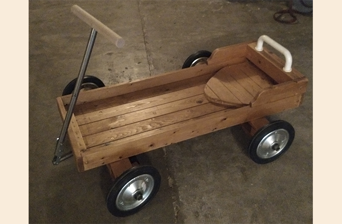 Carro de Tiro Profesional